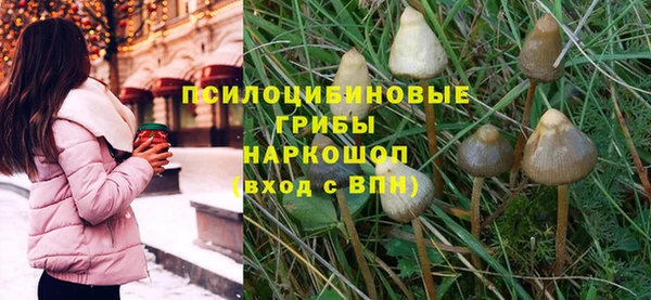 прущая мука Верея