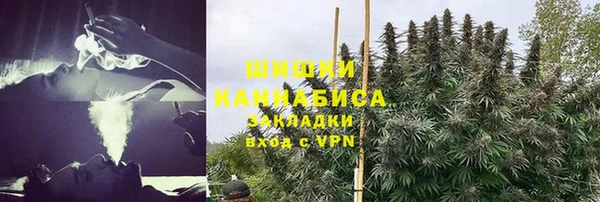 прущая мука Верея