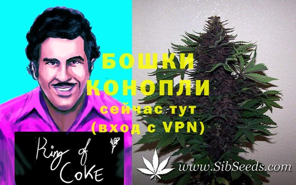 прущая мука Верея